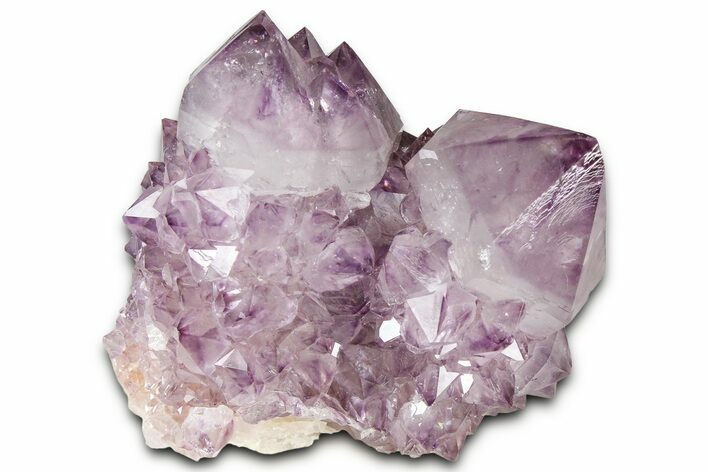 Deep-Purple Cactus Amethyst Crystal Cluster - South Africa #364624